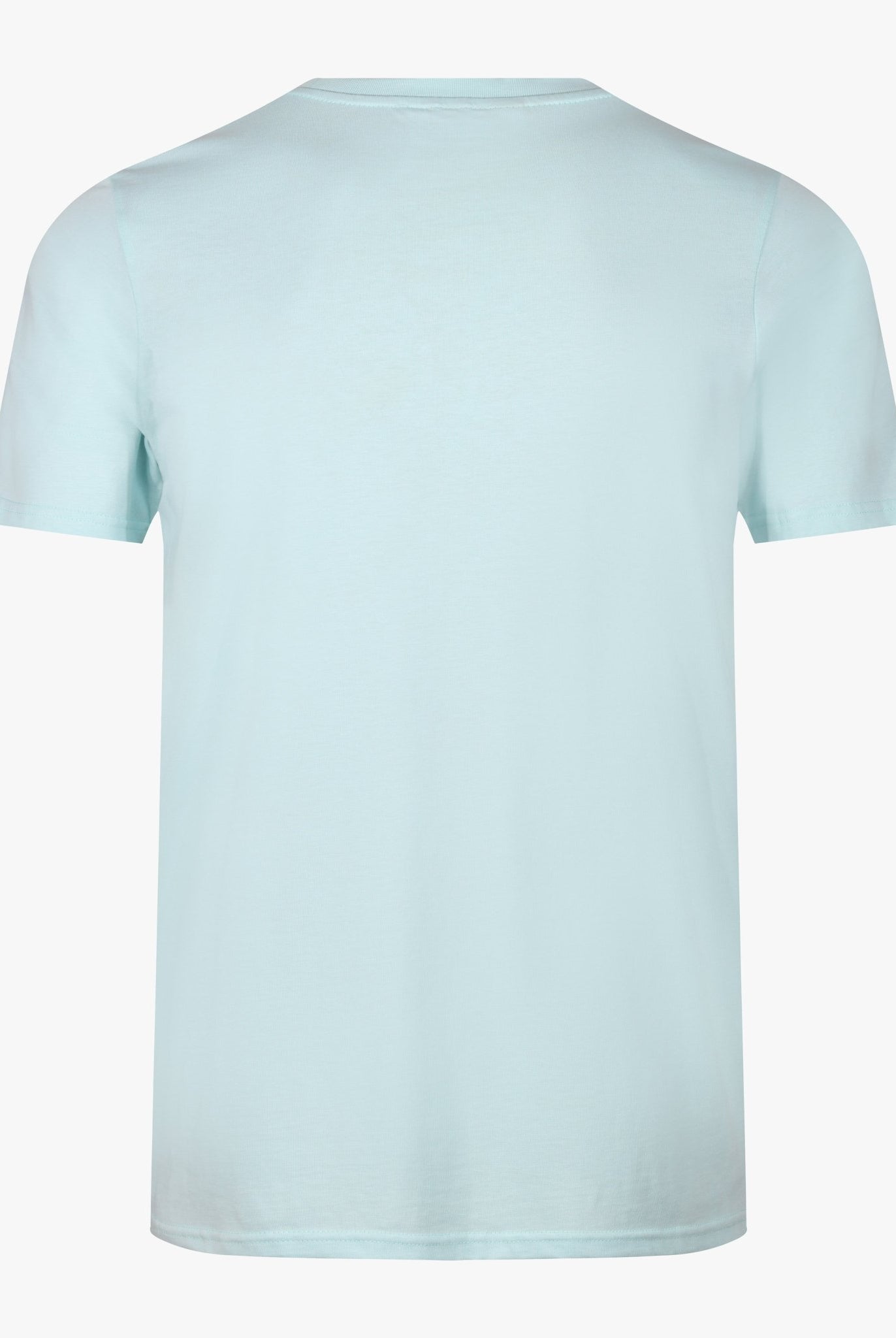 Boy's Luxe Resort Palm T - Shirt - Light Green - Vincentius