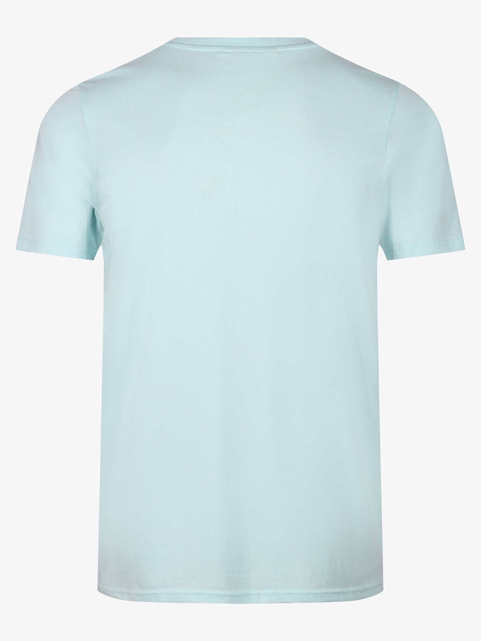 Boy's Luxe Resort Palm T - Shirt - Light Green - Vincentius