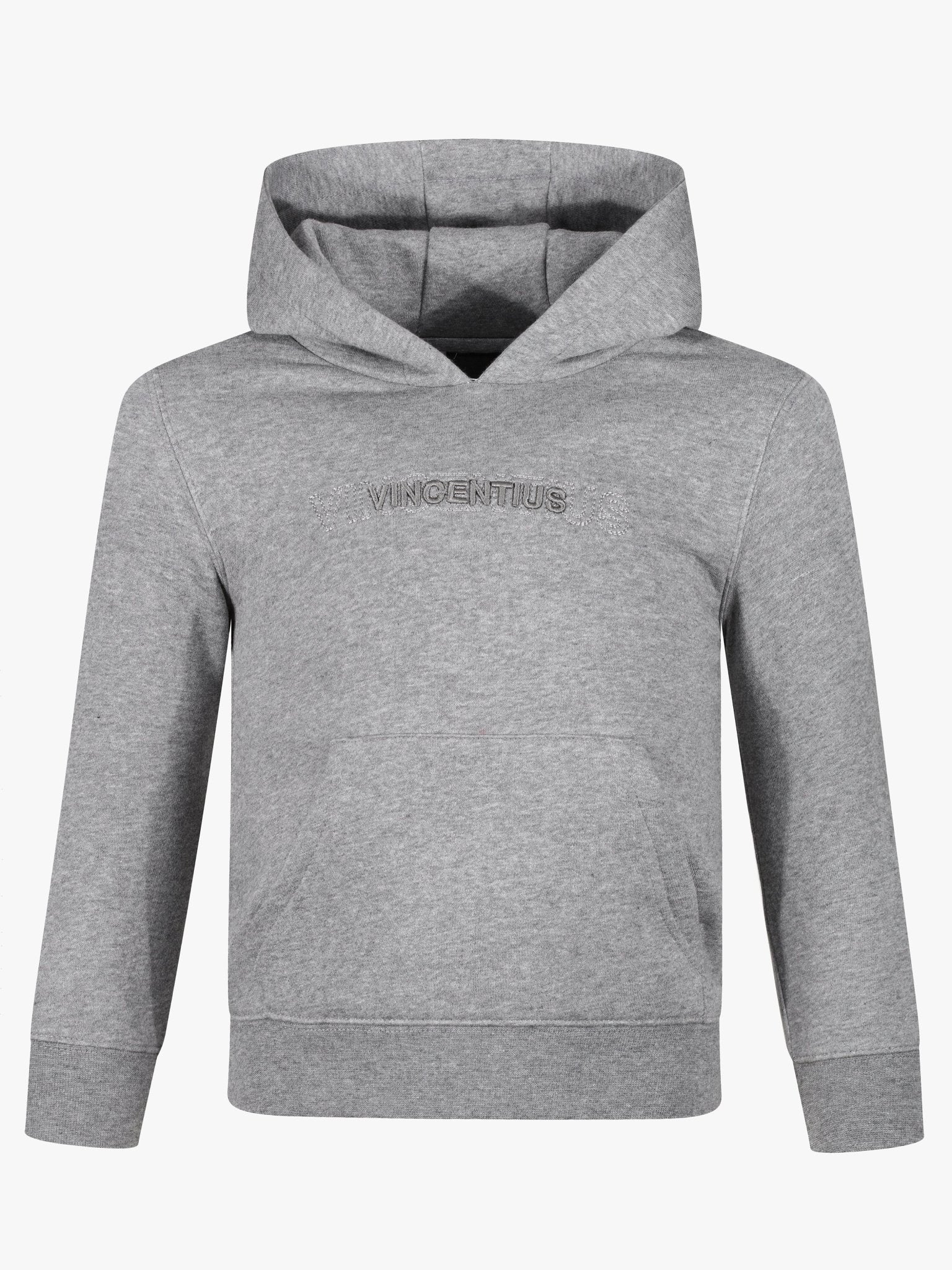 Boy's Double Embroidery Luxe Hoodie - Grey - Vincentius